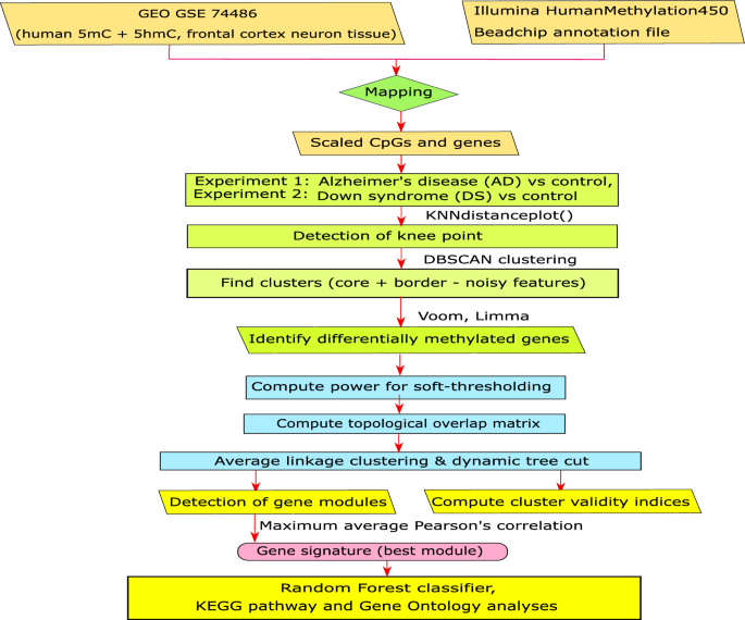 Detecting Methylation Signatures In Neurodegenerative Disease By Density Based Clustering Of Applications With Reducing Noise Scientific Reports