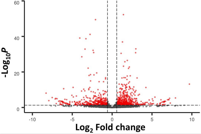 Histone methylation changes are required for life cycle progression in the  human parasite Schistosoma mansoni