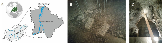 In Situ Modelling Of Biofilm Formation In A Hydrothermal Spring Cave Scientific Reports