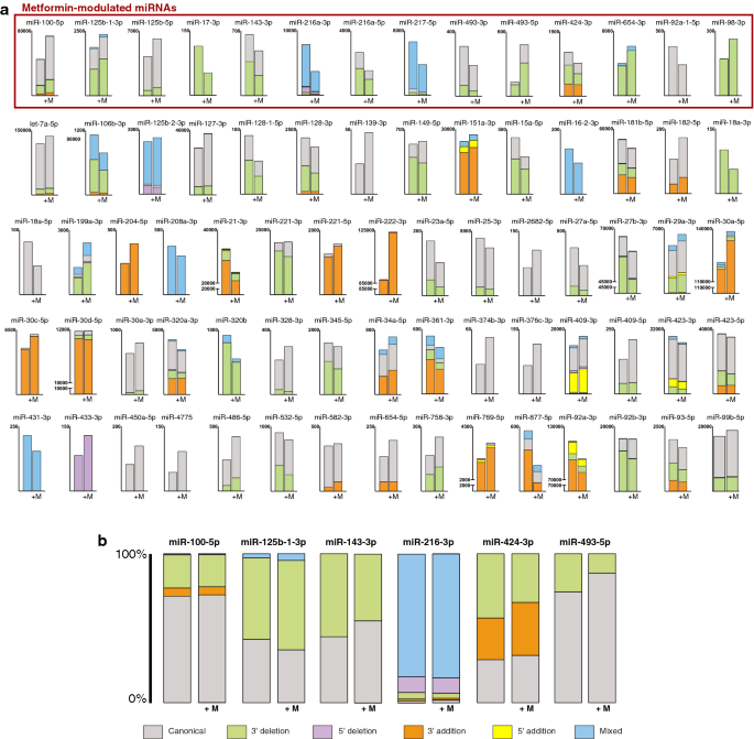 MicroRNA-411 and Its 5′-IsomiR Have Distinct Targets and Functions