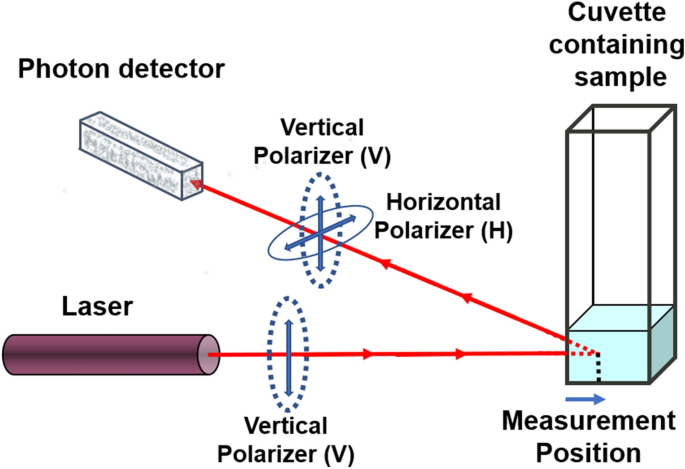 Multiple scattering effects on intercept, size, polydispersity index, and  intensity for parallel (VV) and perpendicular (VH) polarization detection  in photon correlation spectroscopy | Scientific Reports