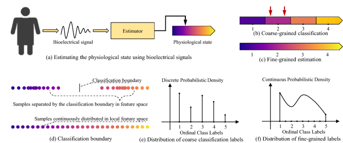 Learning Fine Grained Estimation Of Physiological States From Coarse Grained Labels By Distribution Restoration Scientific Reports