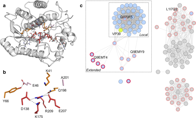 Functional And Computational Identification Of A Rescue Mutation Near The Active Site Of An Mrna Methyltransferase Scientific Reports Functional And Computational Identification Of A Rescue Mutation Near The Active Site Of An Mrna Methyltransferase Scientific Reports