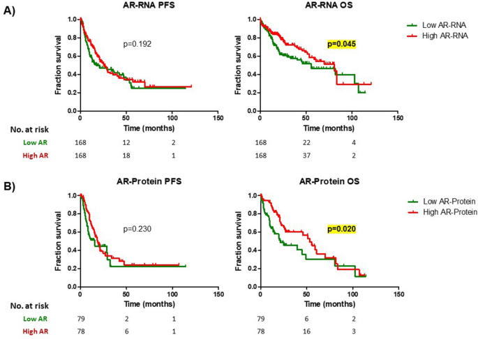 l carnitine l tartrate study pubmed androgen receptor expression The androgen receptor expression and its activity have different  relationships with prognosis in hepatocellular carcinoma