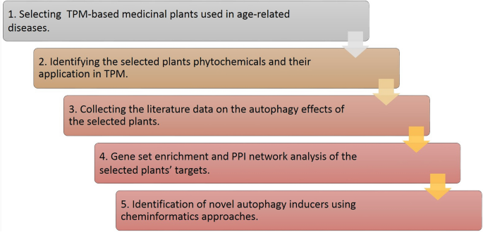 Workshops to learn how to identify medicinal plants and use them