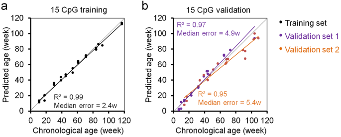 Targeted Methods For Epigenetic Age Predictions In Mice Scientific Reports