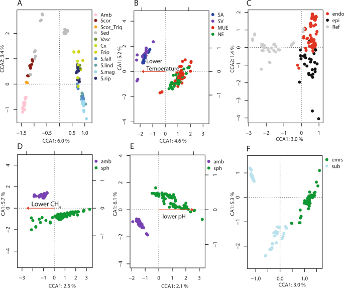 Environmental patterns of brown moss- and Sphagnum-associated microbial  communities