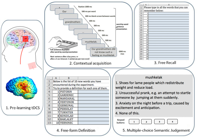 Acquisition of concrete and abstract words is modulated by tDCS of