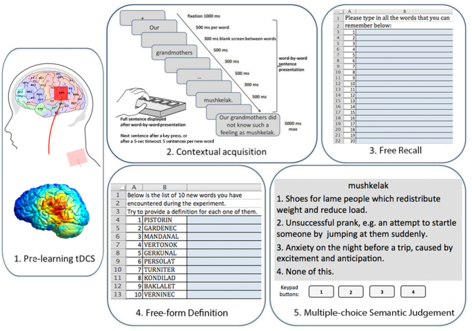 https://media.springernature.com/m685/springer-static/image/art%3A10.1038%2Fs41598-020-79967-8/MediaObjects/41598_2020_79967_Fig1_HTML.png