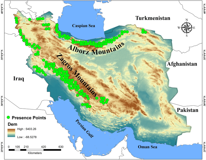 Identifying Priority Core Habitats And Corridors For Effective Conservation Of Brown Bears In Iran Scientific Reports