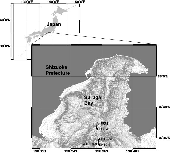 Discovery Of A Colossal Slickhead Alepocephaliformes Alepocephalidae An Active Swimming Top Predator In The Deep Waters Of Suruga Bay Japan Scientific Reports