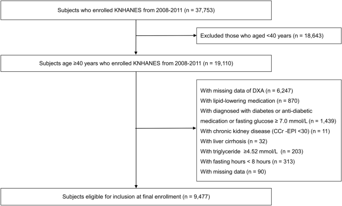 Association of the triglyceride and glucose index with low muscle