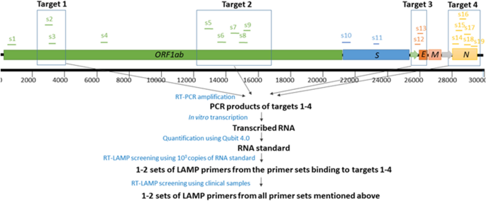 Comparative Evaluation Of 19 Reverse Transcription Loop Mediated Isothermal Amplification Assays For Detection Of Sars Cov 2 Scientific Reports
