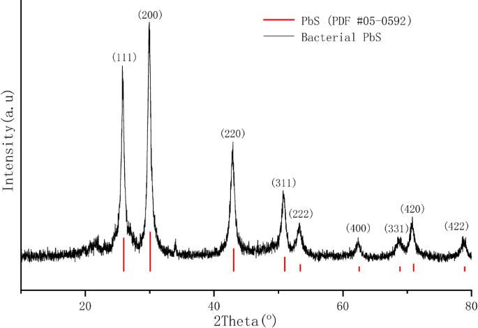 Bacterial Synthesis Of Pbs Nanocrystallites In One Step With L Cysteine Serving As Both Sulfur Source And Capping Ligand Scientific Reports