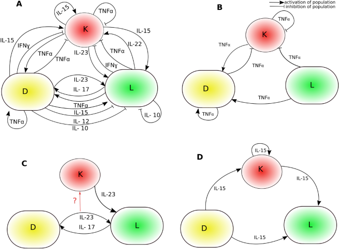 Role Of Subnetworks Mediated By Hbox Tnf Alpha Tnf A Il 23 Il 17 And Il 15 In A Network Involved In The Pathogenesis Of Psoriasis Scientific Reports Role Of Subnetworks Mediated By Hbox Tnf Alpha Tnf A Il 23 Il 17 And Il 15 In A Network Involved In The Pathogenesis Of Psoriasis Scientific Reports