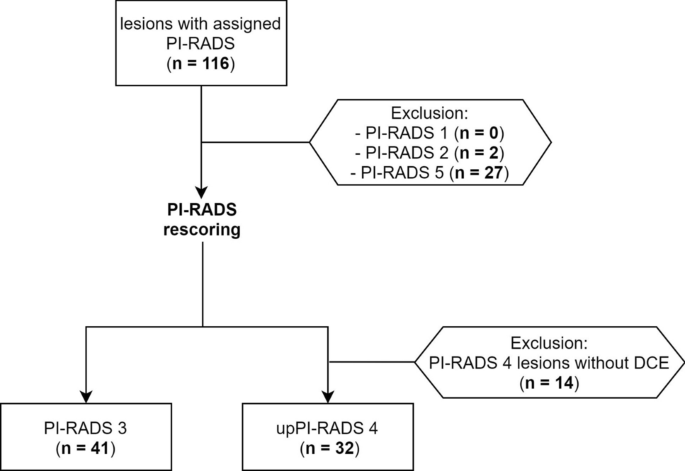 Evaluation of a multiparametric MRI radiomic-based approach for  stratification of equivocal PI-RADS 3 and upgraded PI-RADS 4 prostatic  lesions | Scientific Reports