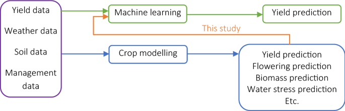 apsim model used for what crops apsim model used for what crops