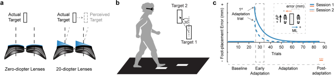 How aging affects visuomotor adaptation and retention in a precision walking paradigm