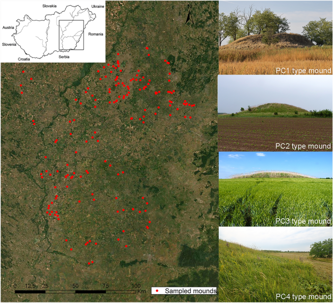 The Ant-Driven Landscape