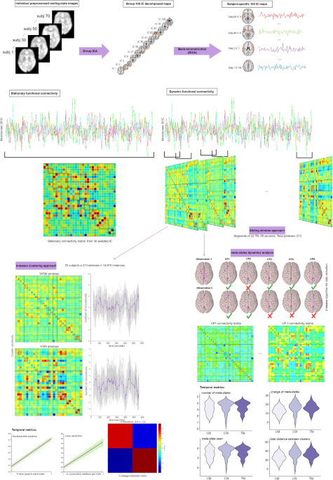 https://media.springernature.com/m685/springer-static/image/art%3A10.1038%2Fs41598-021-00508-y/MediaObjects/41598_2021_508_Fig1_HTML.png