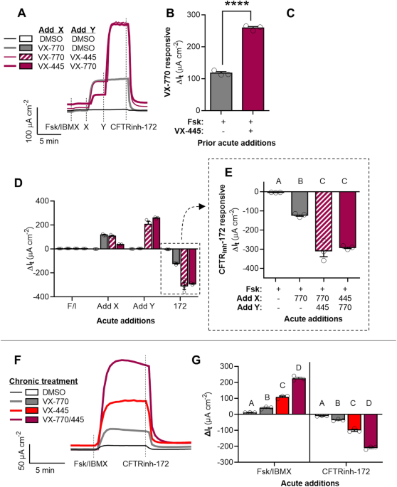 Author correction: elexacaftor is a cftr potentiator and acts synergistically with ivacaftor during acute and chronic treatment