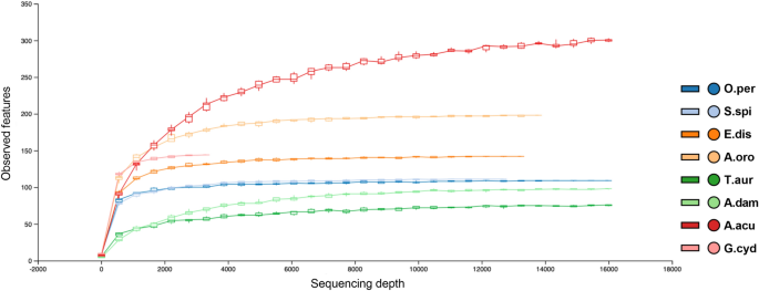 Microbial Diversity In Mediterranean Sponges As Revealed By Metataxonomic Analysis Scientific Reports
