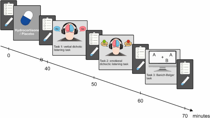 dichotic listening performance and interhemispheric integration after administration of hydrocortisone scientific reports