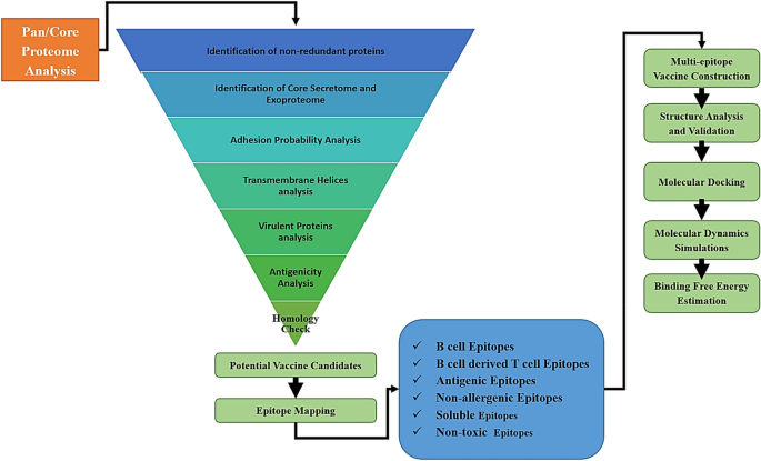 An integrated computational framework to design a multi-epitopes 