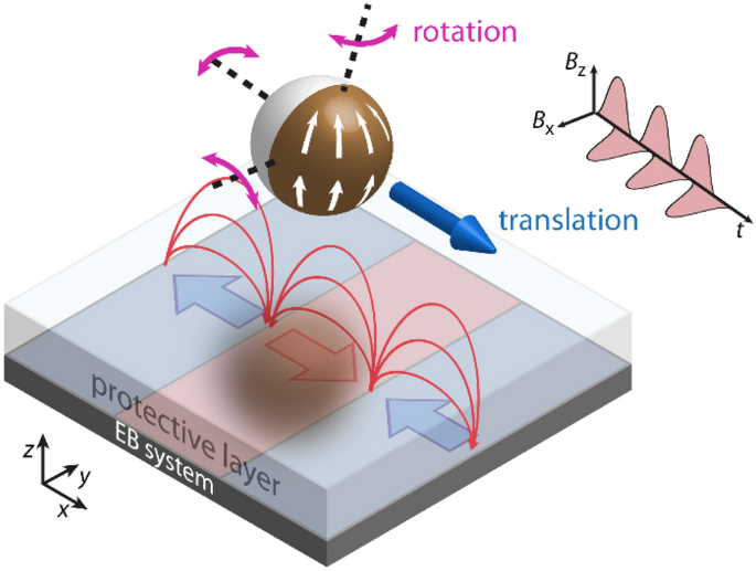Translatory and rotatory motion of exchange-bias capped Janus particles  controlled by dynamic magnetic field landscapes | Scientific Reports