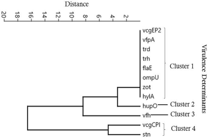 (PDF) Epidemiologic potentials and correlational analysis of Vibrio species  and virulence toxins from water sources in greater Bushenyi districts,  Uganda