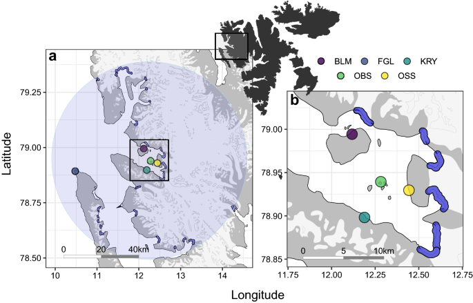 Fine-scale spatial segregation in a pelagic seabird driven by differential  use of tidewater glacier fronts | Scientific Reports
