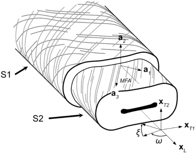 The Transverse And Longitudinal Elastic Constants Of Pulp Fibers In Paper Sheets Scientific Reports