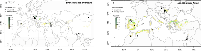 Pleistocene allopatric differentiation followed by recent range expansion explains the distribution and molecular diversity of two congeneric crustacean species in the palaearctic