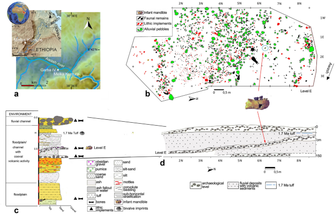 Insights into the palaeobiology of an early Homo infant: multidisciplinary  investigation of the GAR IVE hemi-mandible, Melka Kunture, Ethiopia |  Scientific Reports