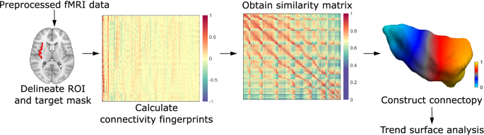 File:Enhanced functional connectivity of insula in high elo action