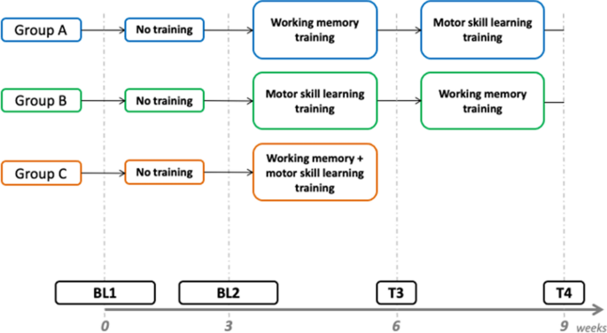 Additive and interaction effects of working memory and motor 