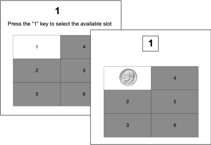 Stakes and expertise modulate conformity in economic choice
