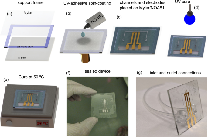 Development Of A Sticker Sealed Microfluidic Device For In Situ Analytical Measurements Using Synchrotron Radiation Scientific Reports Development Of A Sticker Sealed Microfluidic Device For In Situ Analytical Measurements Using Synchrotron Radiation Scientific Reports