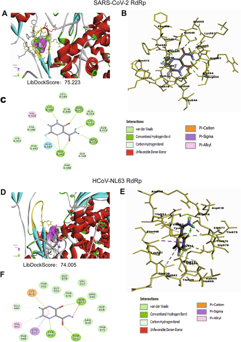 Comparative assessment of favi...