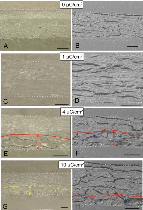 QR code micro-certified gemstones: femtosecond writing and Raman  characterization in Diamond, Ruby and Sapphire