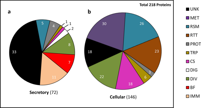 High resolution proteomics of aedes aegypti salivary glands infected with either dengue, zika or chikungunya viruses identify new virus specific and b