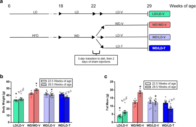 5 amino 1mq cycle length Reduced calorie diet combined with NNMT inhibition establishes a distinct  microbiome in DIO mice