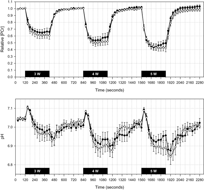 Iron absorption timing graph exercise study