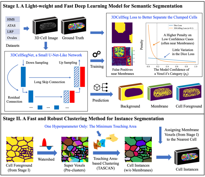 A novel deep learning-based 3D cell segmentation framework for future  image-based disease detection | Scientific Reports