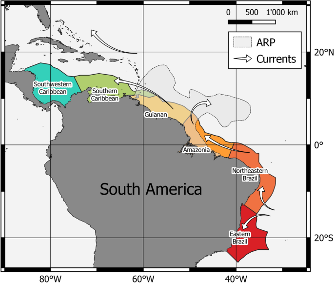 The Amazon River plume, a barrier to animal dispersal in the Western  Tropical Atlantic | Scientific Reports