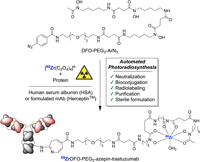 Automated light-induced synthesis of 89zr-radiolabeled antibodies for immuno-positron emission tomography