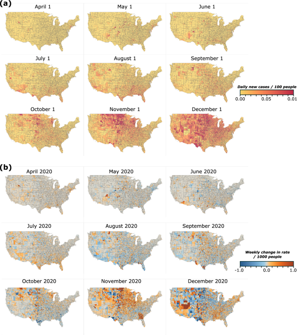 Finding Connection During Coronavirus Quarantine with Animal