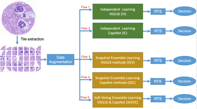 Classification Of Colorectal Tissue Images From High Throughput Tissue Microarrays Ensemble Deep Learning Methods Scientific Reports