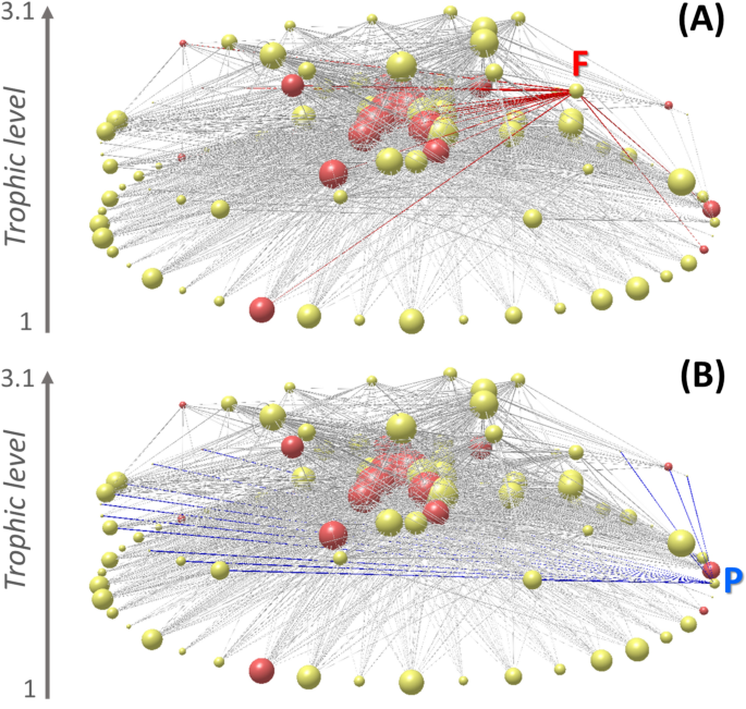 Alteration Of Coastal Productivity And Artisanal Fisheries Interact To Affect A Marine Food Web Scientific Reports