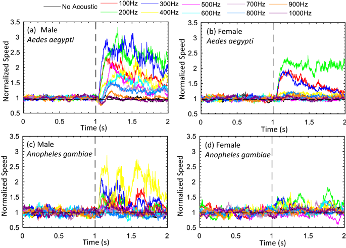 Acoustotactic response of mosquitoes in untethered flight to incidental  sound | Scientific Reports